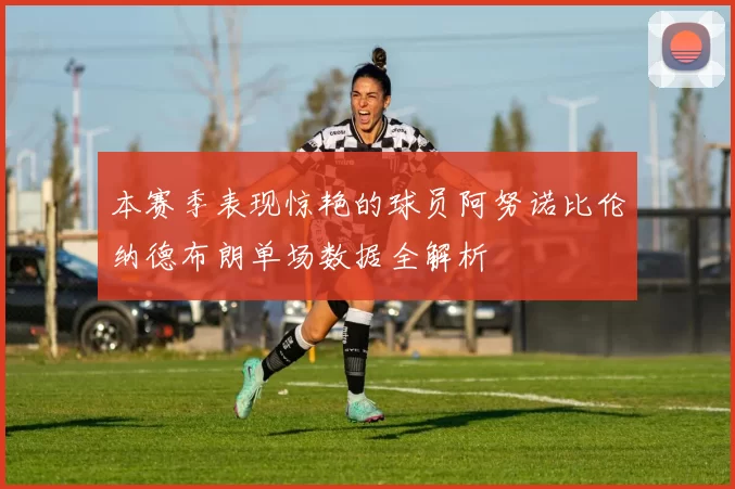 本赛季表现惊艳的球员阿努诺比伦纳德布朗单场数据全解析