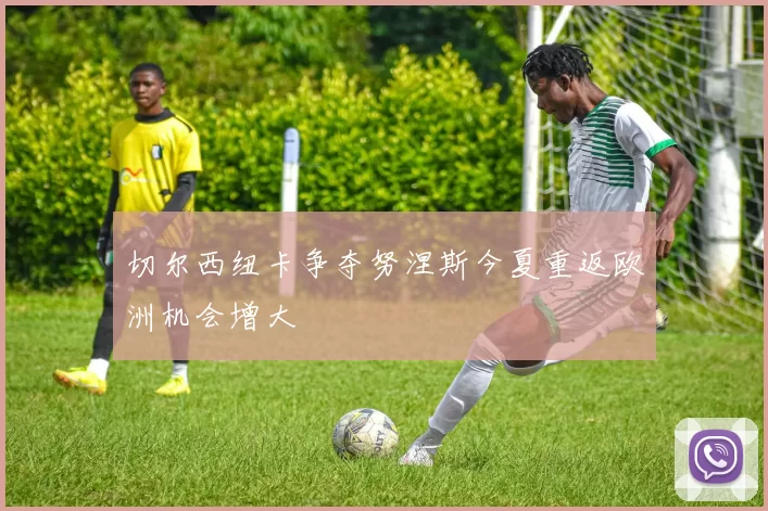 切尔西纽卡争夺努涅斯今夏重返欧洲机会增大