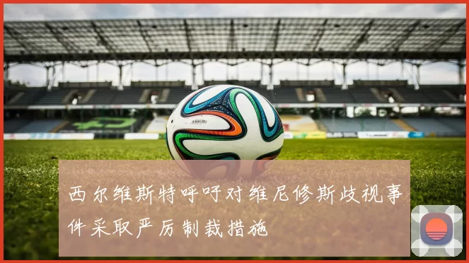 西尔维斯特呼吁对维尼修斯歧视事件采取严厉制裁措施