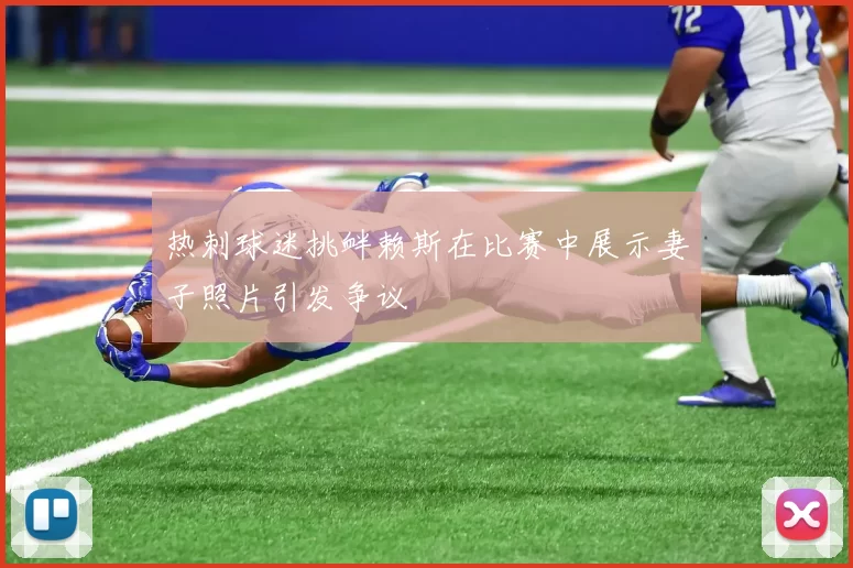 热刺球迷挑衅赖斯在比赛中展示妻子照片引发争议